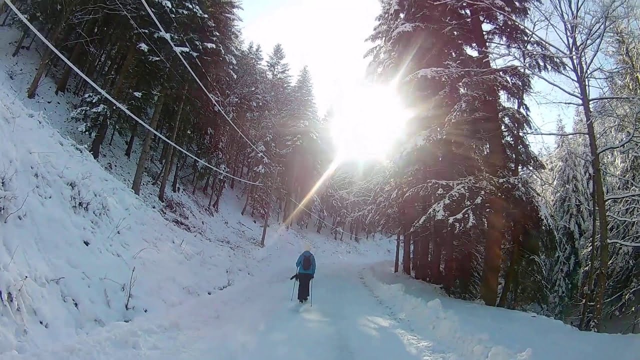 Schronisko na Przehybie (Beskid Sądecki) trasa z Gabonia