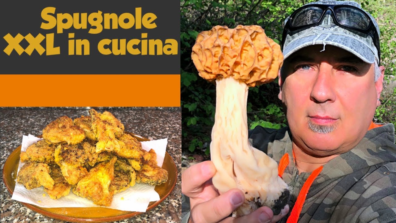 Spugnole XXL in cucina