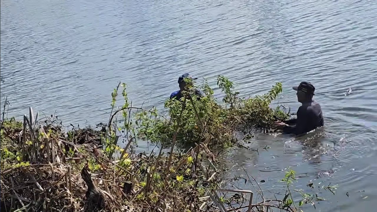 OLHA COMO ESTOU FAZENDO PRA LIMPAR A LAGOA TA FICANDO MUITO BOM 