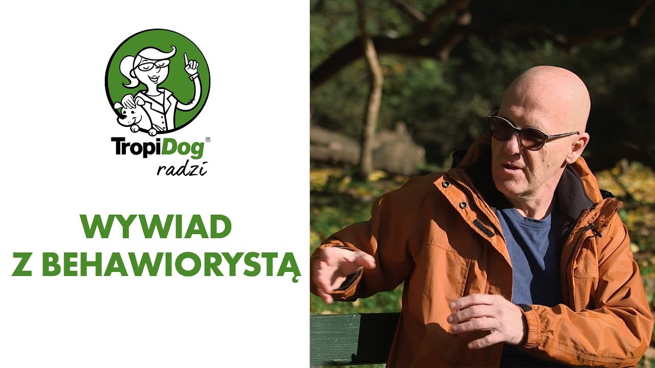 Tropidog radzi #10 - Kiedy nasz pies staje się seniorem?