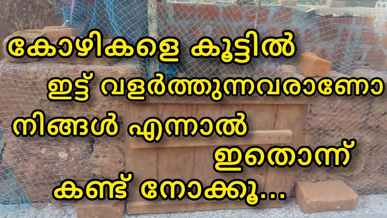 കോഴിവളർത്തൽ!പുറത്ത് വിടുന്ന അതേ രീതിയിൽ കൂട്ടിലിട്ടും വളർത്താം ഇതുപോലെ.....|Amaan kitchen|