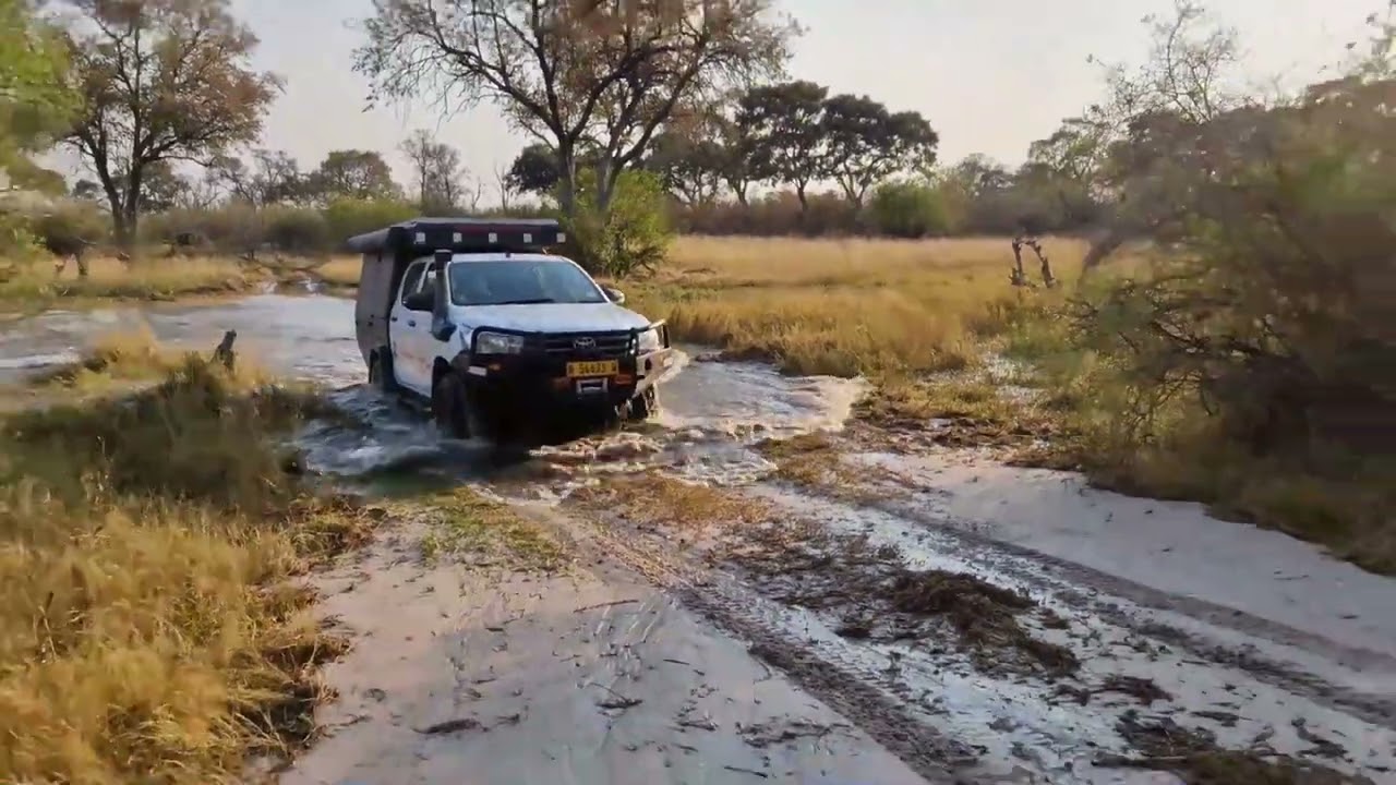 Khwai(Botswana) River Crossings 2021 & 2022