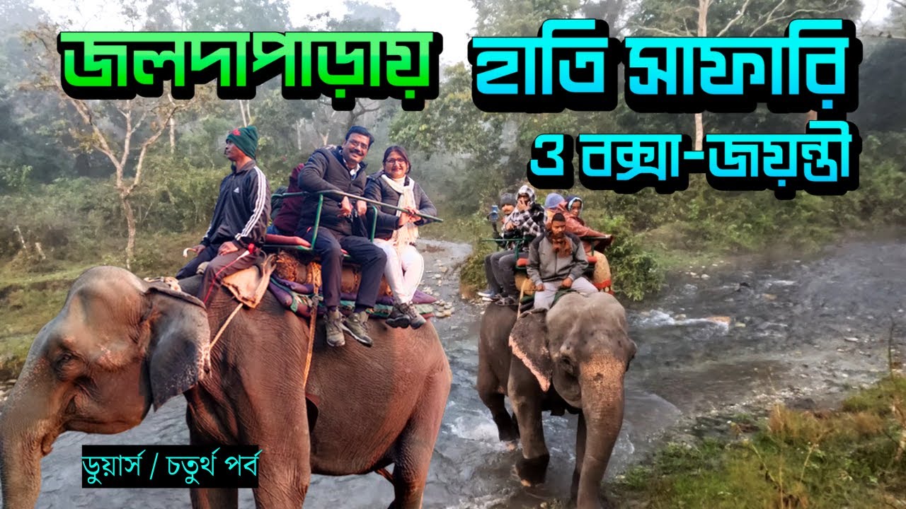 EP 4 । ডুয়ার্সে এই অভিজ্ঞতা ভোলার নয় । Jaldapara Elephant Safari । Holong । BuxaJayanti ।Dooars 2024