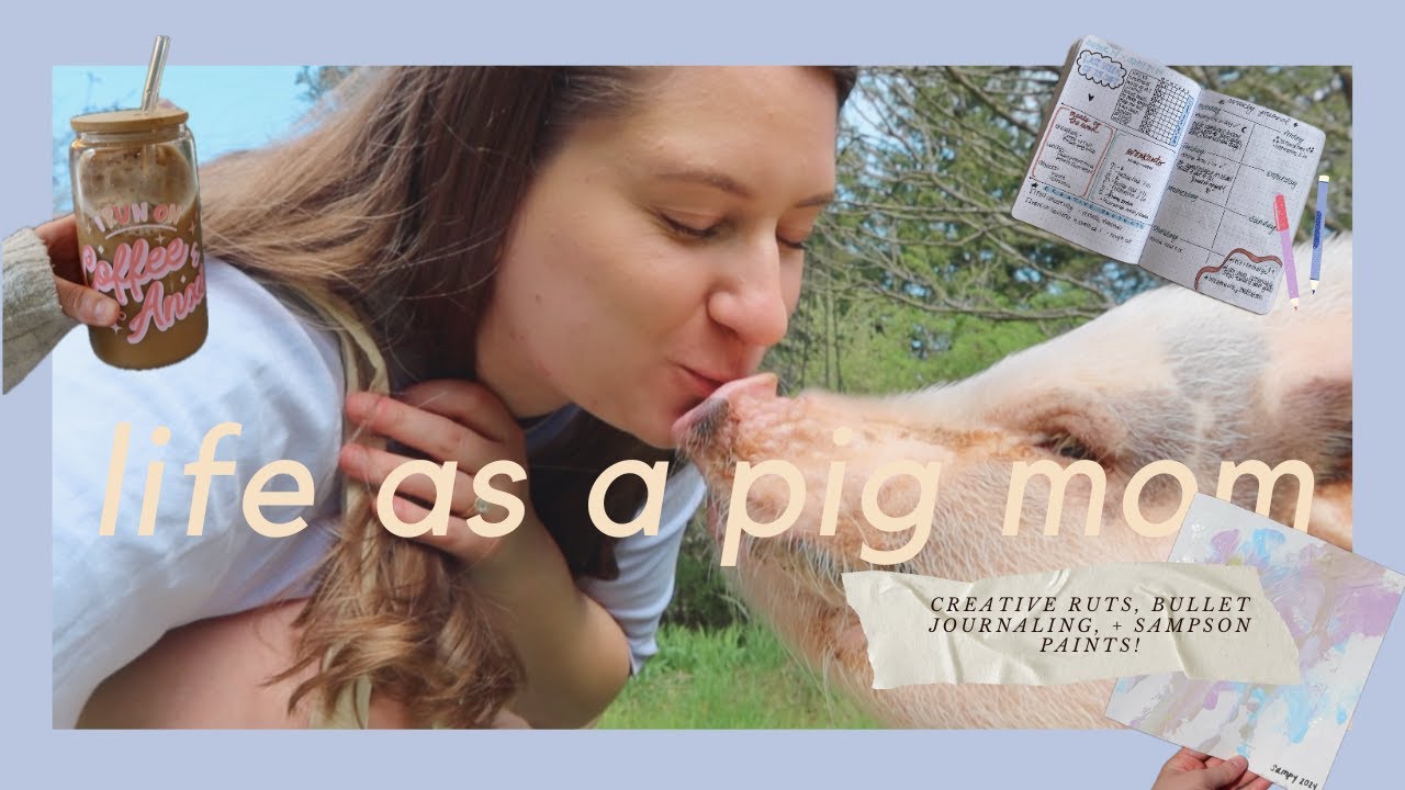spend the day with me and my mini pig 🐽bullet journal setup, creative rut + Sampson paints!