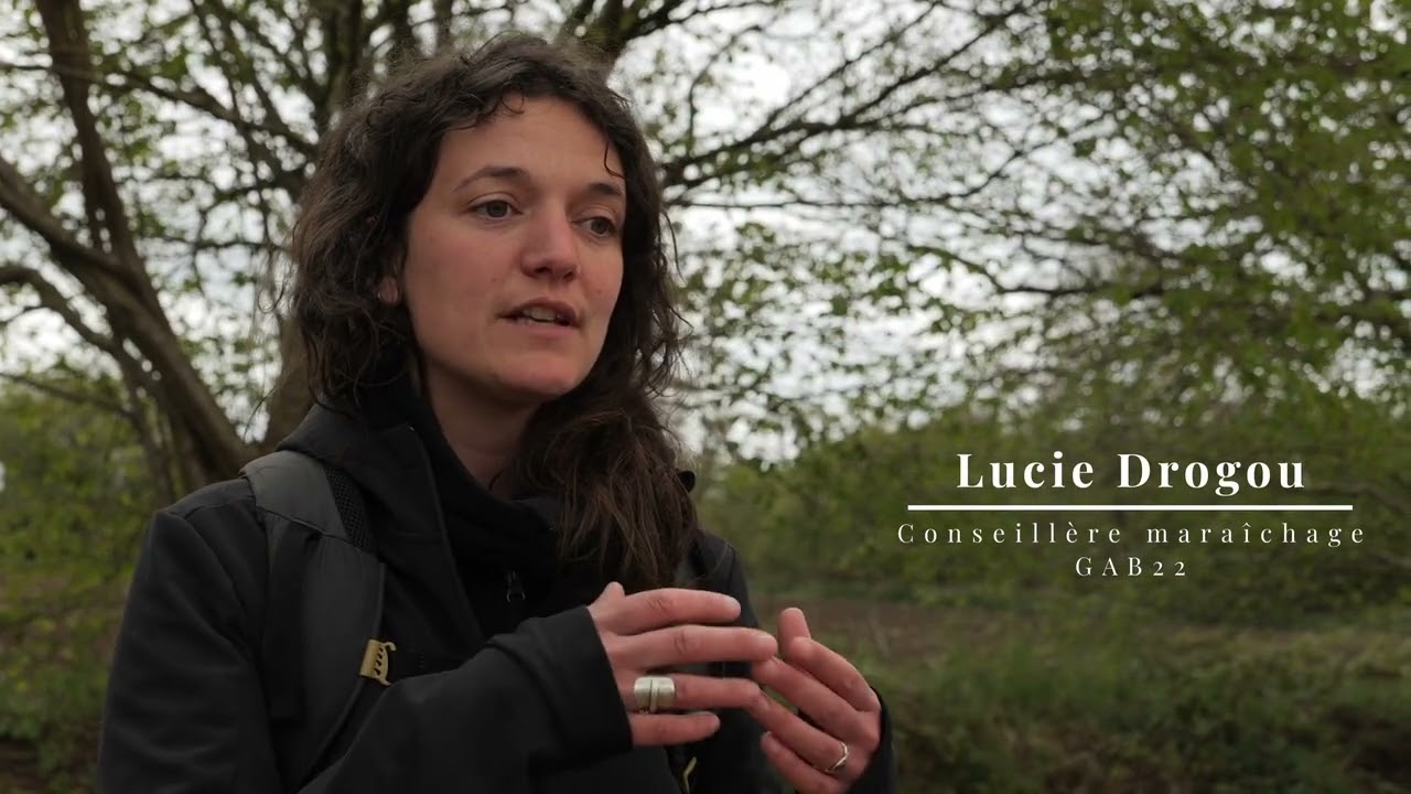 [PERSYST-maraîchage] #7 - Travail du sol ou non travail du sol?