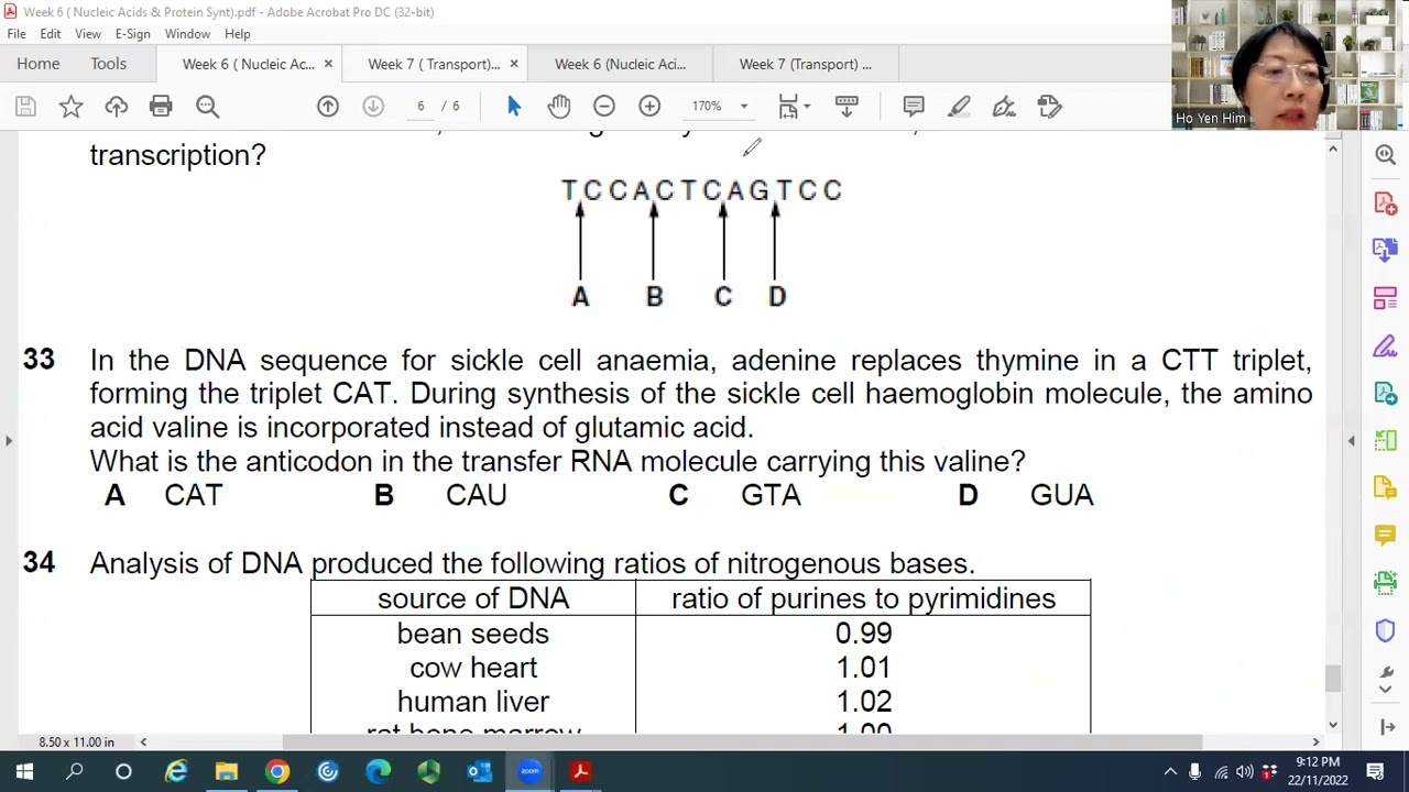 Nucleic Acids & Protein Synthesis | MCQ Tutorial 6 | YH Ho