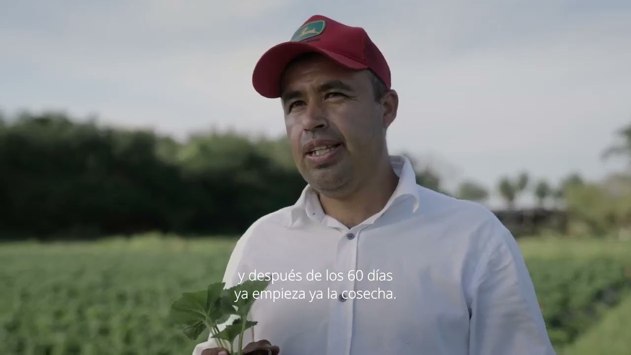 VIVA MI TIERRA - CAPÍTULO 5