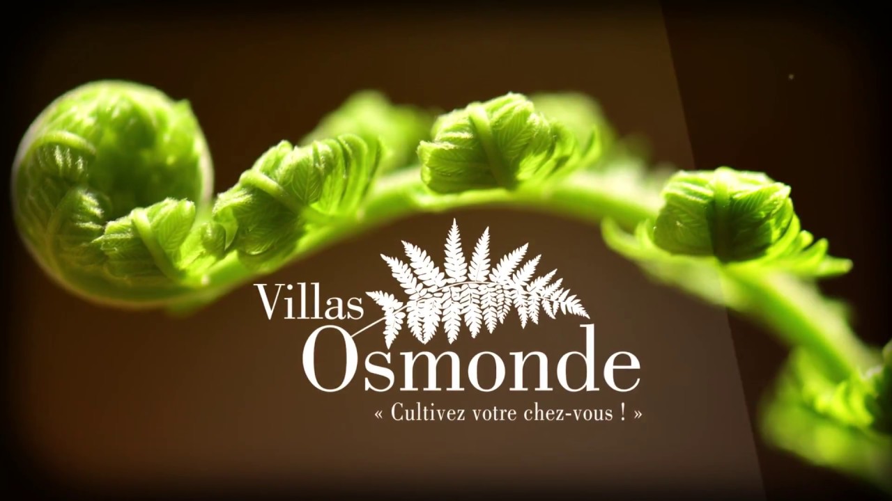 VILLAS OSMONDE à ANDERNOS-LES-BAINS - Groupe SGE