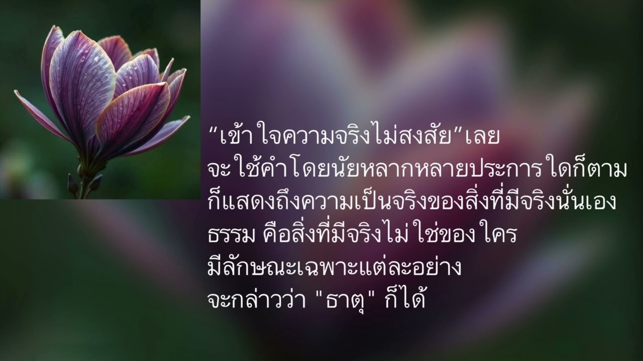 พอดแคสท์บ้านธัมมะ 