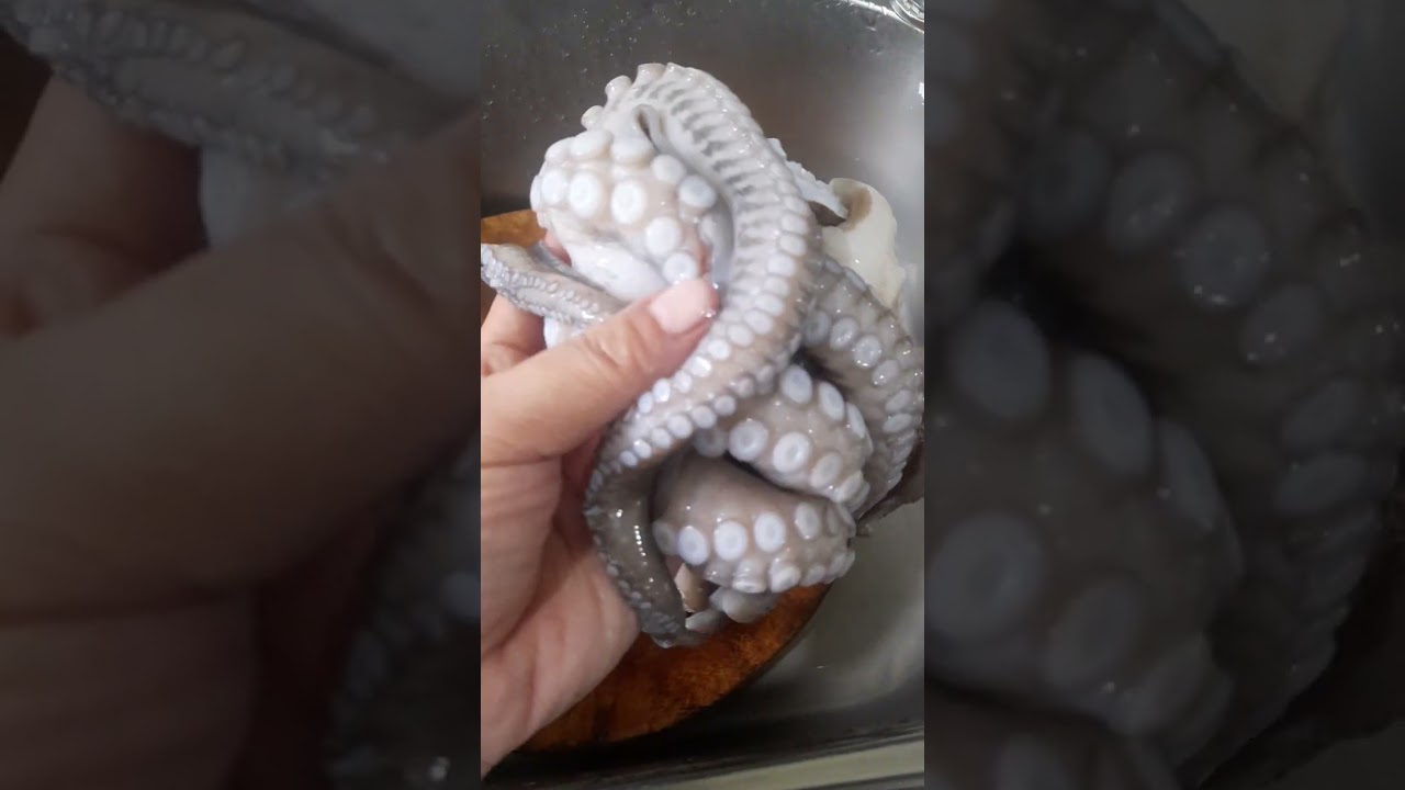 Octopus | Cleaning #seafood #shorts #octopus