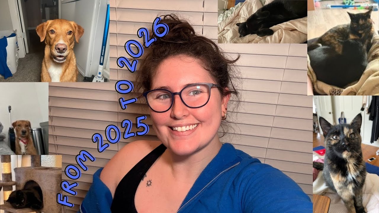 from 2025 to 2026 | video diary ninety-one