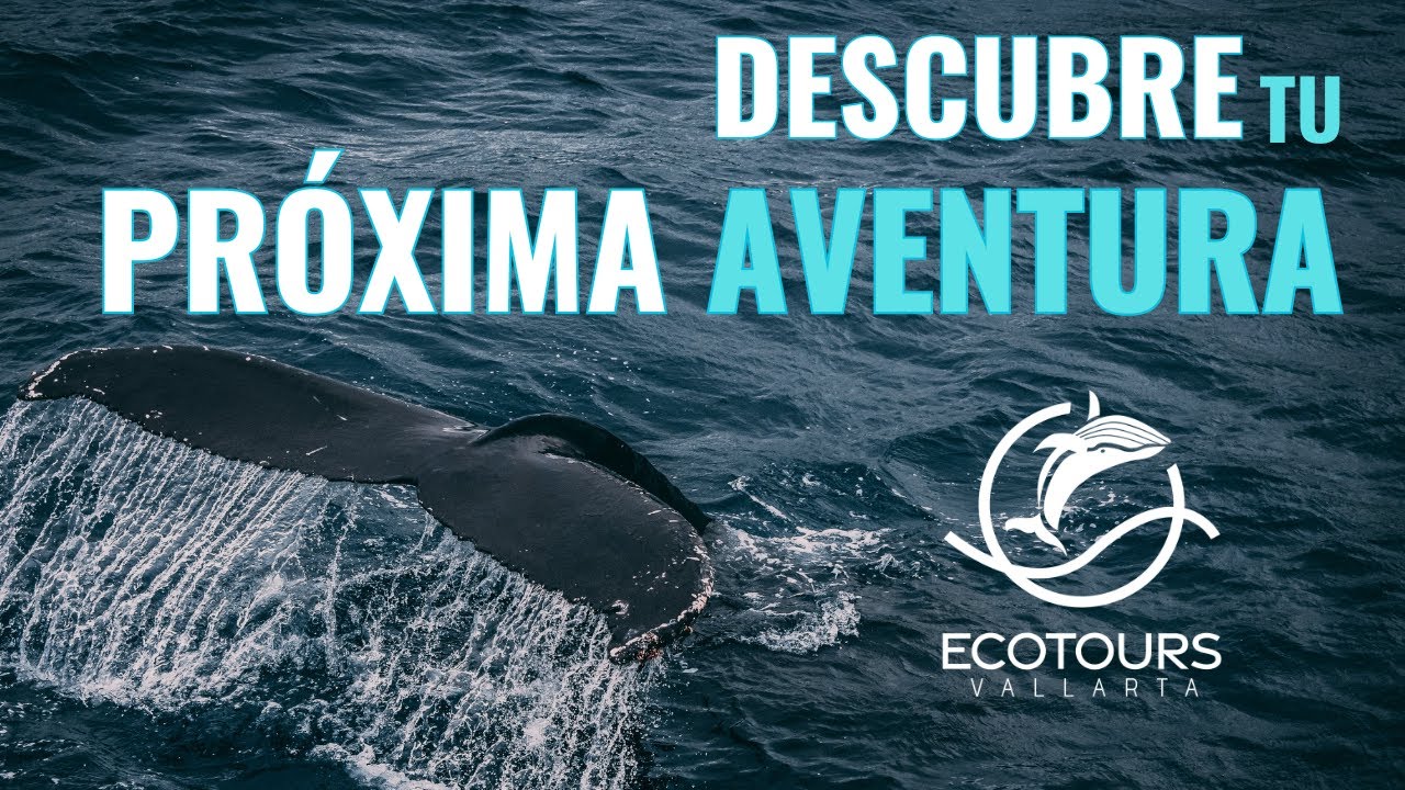 Los mejores tours y aventuras en Puerto Vallarta I Ecotours Vallarta