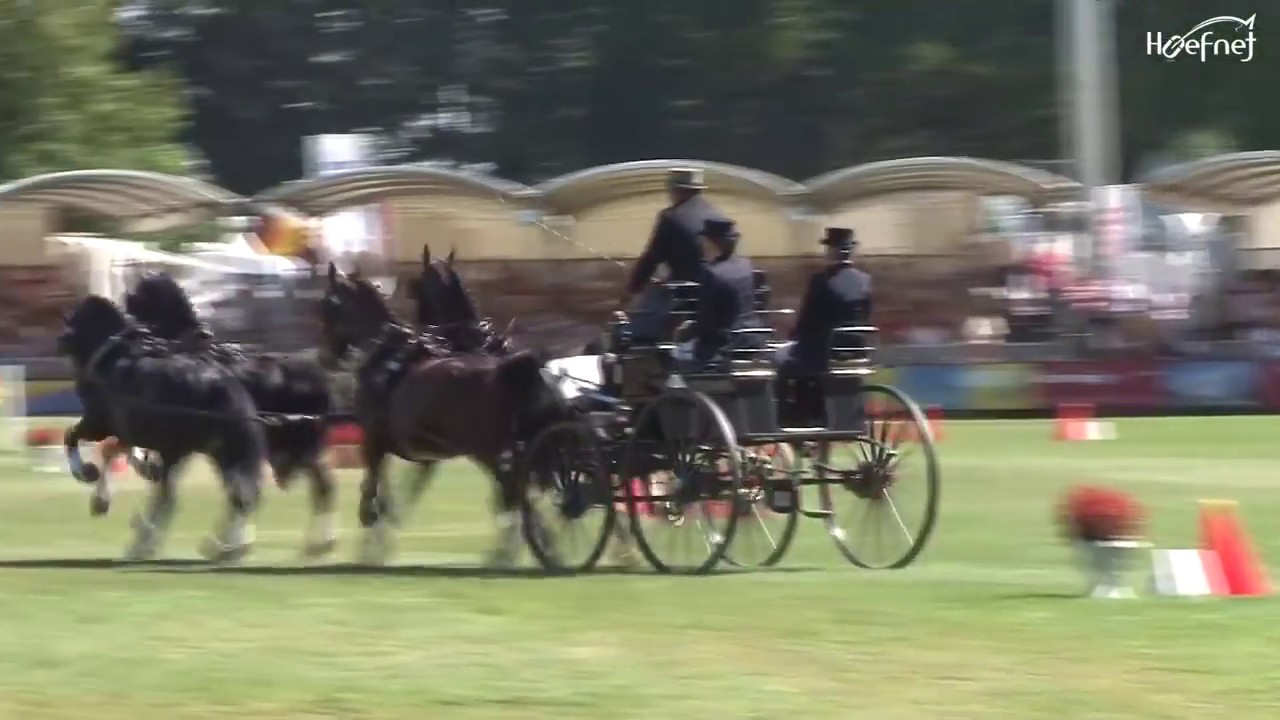 Obstacle driving Four-in-Hand Championships 2012
