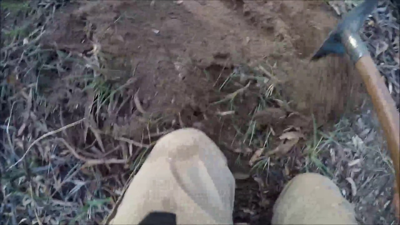 QED finds 3 gram nugget