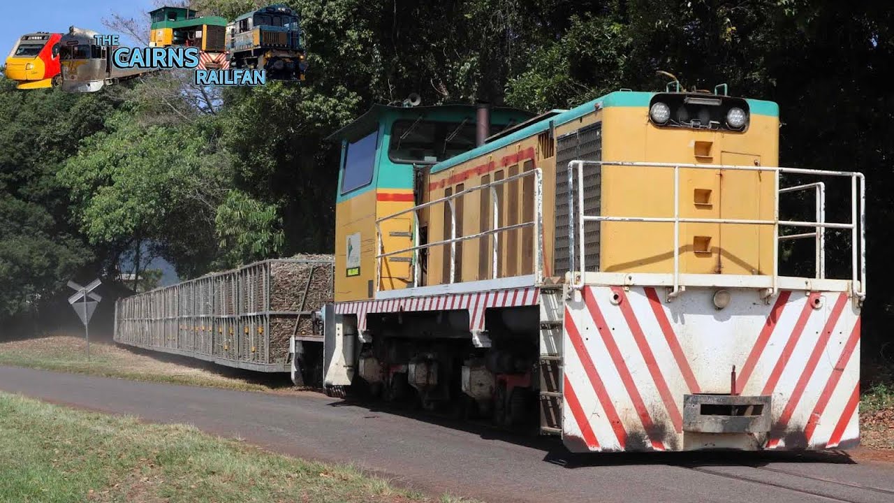 Chasing a Mulgrave Mill Cane Train to Green Hill | The Cairns Railfan