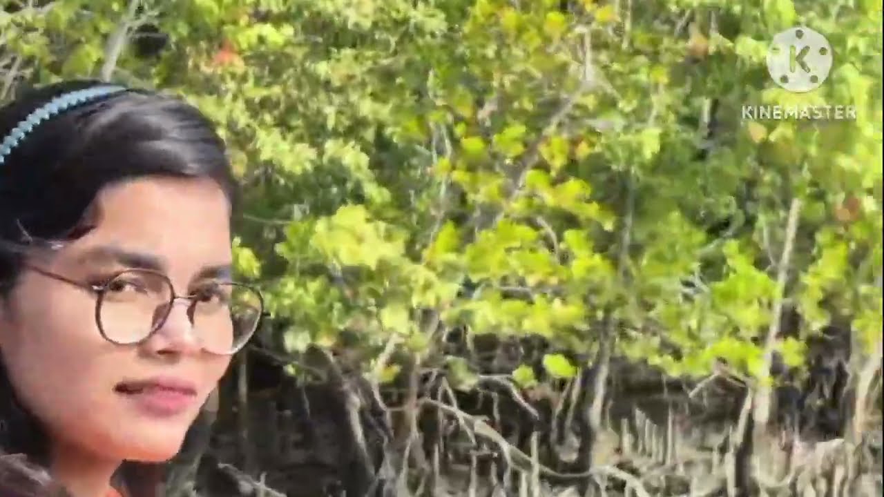 সুন্দরবনের গভীরে 