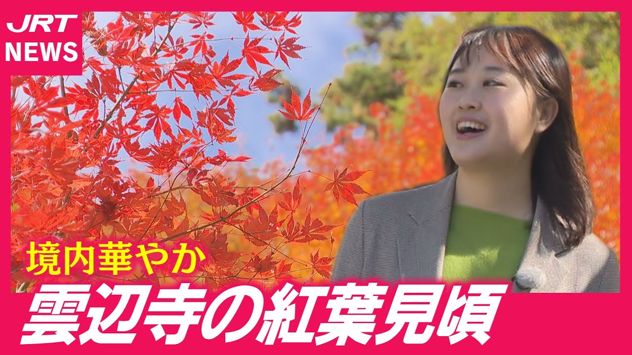 【絶景】雲辺寺の紅葉真っ盛り！標高911mの秋景色