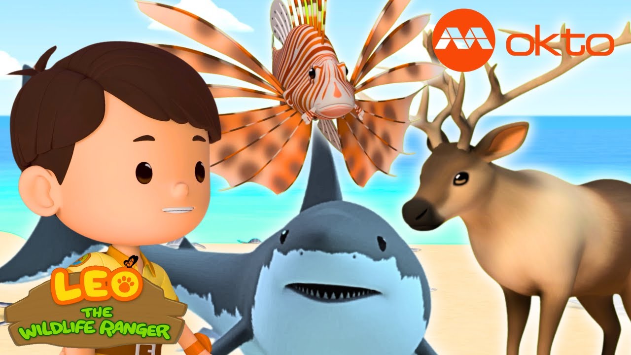 🦈GREAT WHITE SHARK, LIONFISH & REINDEER Rescues! 😊 | Leo Compilation | @mediacorpokto