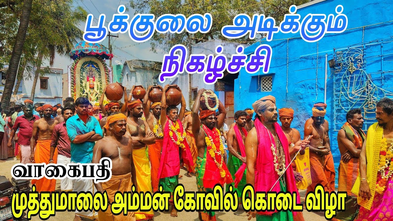 பூக்குலை அடிக்கும் நிகழ்ச்சி ஆரம்பம் 💥 #முத்துமாலைஅம்மன் #ஆதி  #நாராயணர் #வைகுண்டர் 