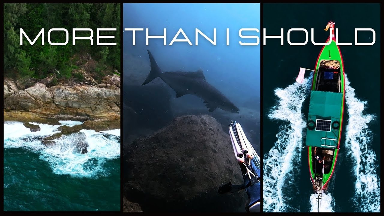 Spearfishing in Phuket ,Thailand  Cobia, Barracuda 2024