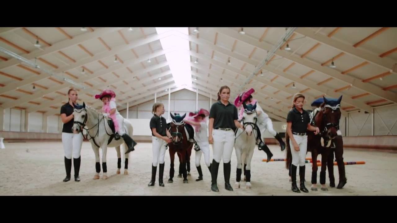 Het Bixie Dream Team 2016 olv Solange Hermans