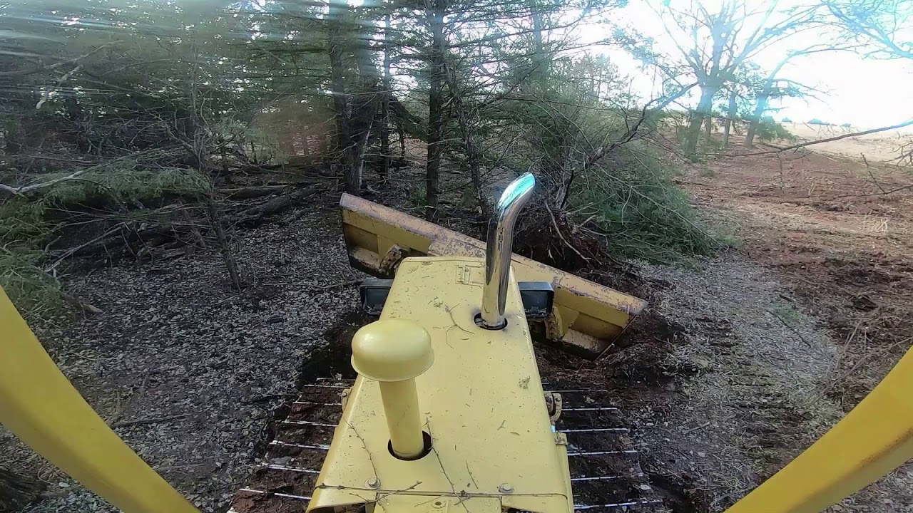 TD8E Shift valve and clearing trees.