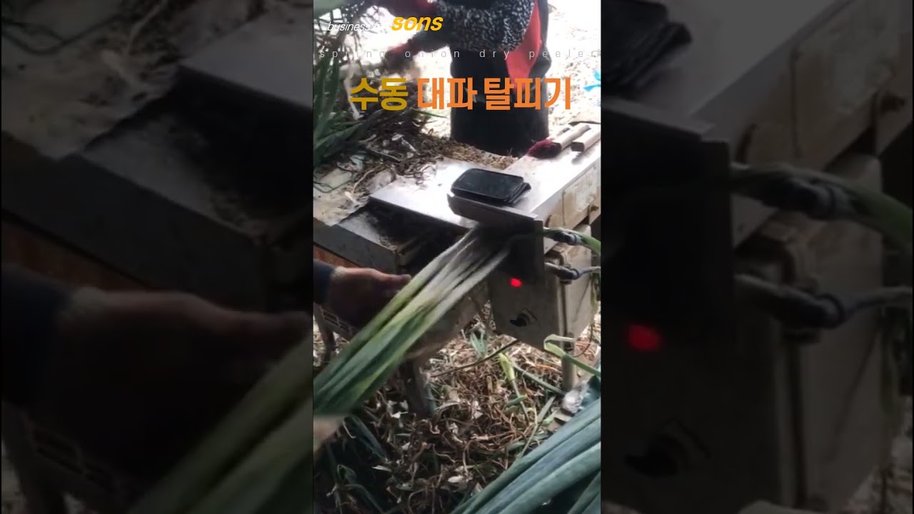 대파탈피기, 쪽파탈피기, chives machine, green onion peeler, Spring onion peeling machine, Chives peeler,