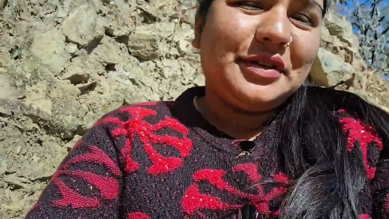 Aj kiya kheto ka kam🌿🌲