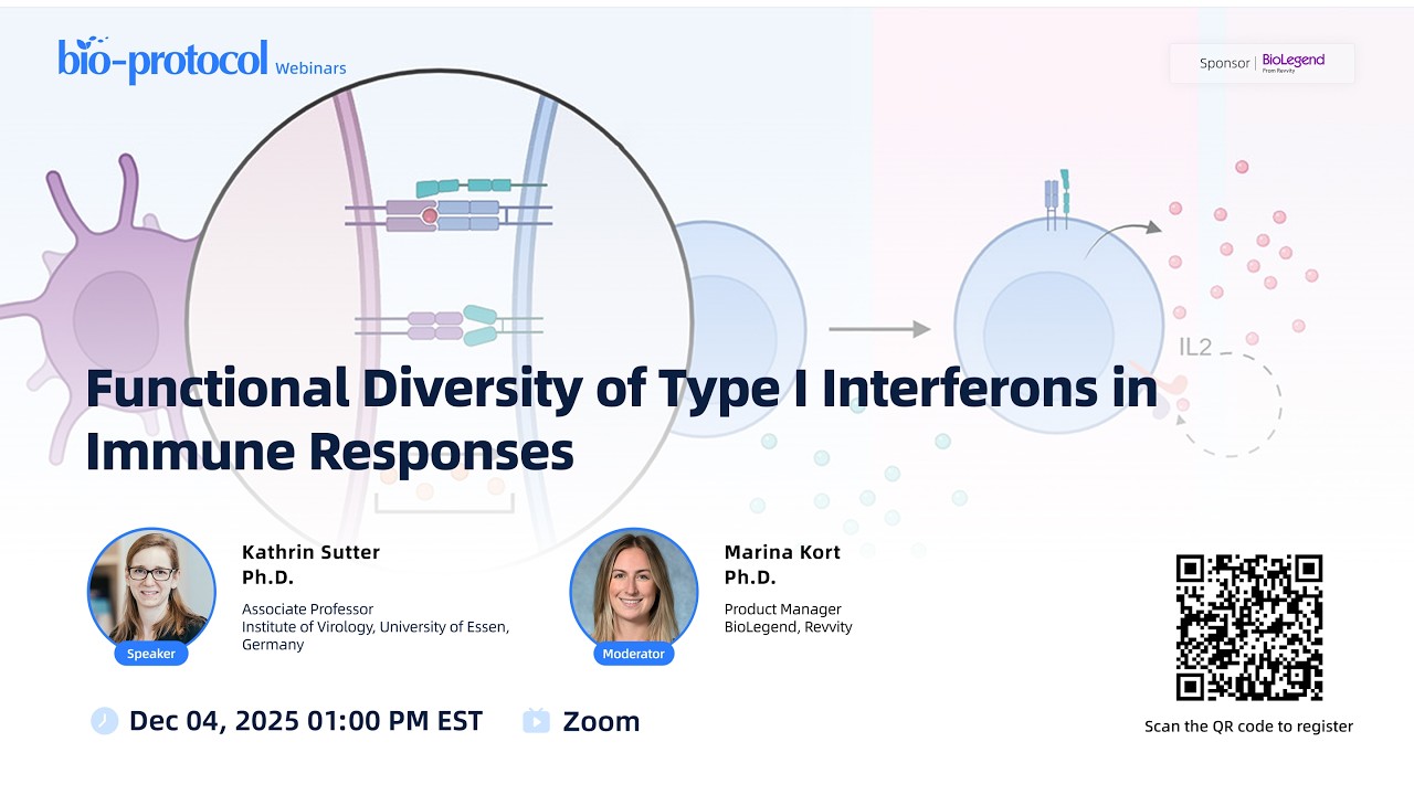 Functional Diversity of Type I Interferons in Immune Responses