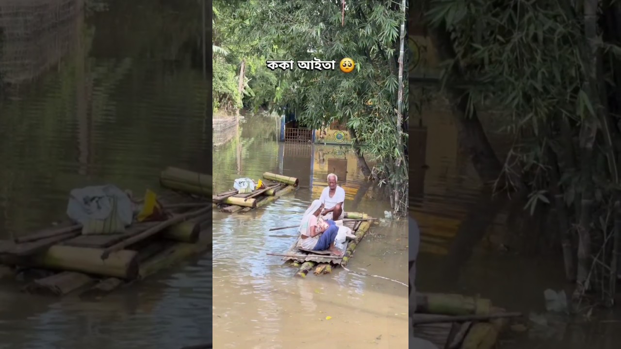 Flood Situation of Upper Assam 🙏//Pray for Assam 🙏/#assam