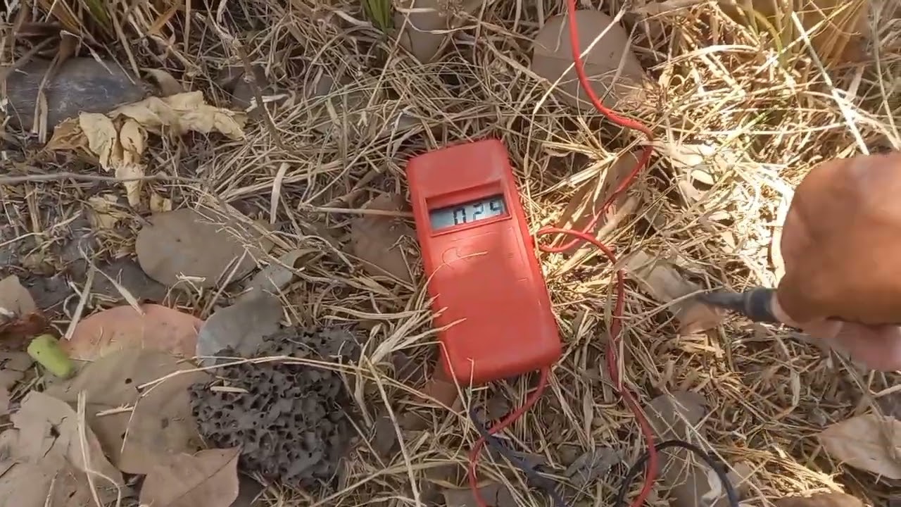 Acabou tudo meu sistema de choque