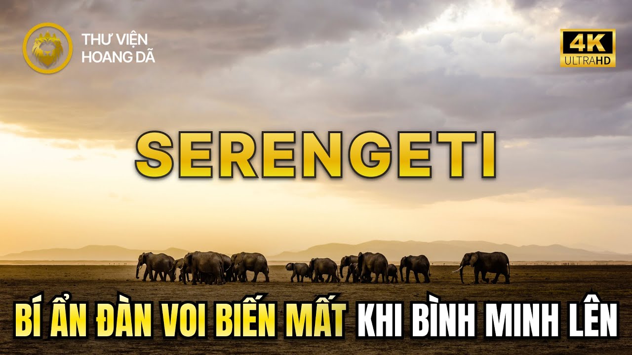 Ai Sẽ Sống S&oacute;t, Sinh Tồn Giữa Đại Ng&agrave;n Ch&acirc;u Phi? - SERENGETI  #thegioidongvat  #serengeti