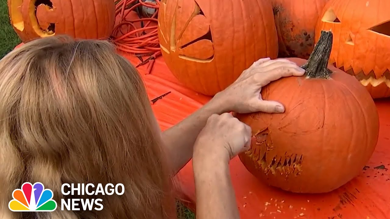 Pumpkin fest held in Highwood as fall gets underway