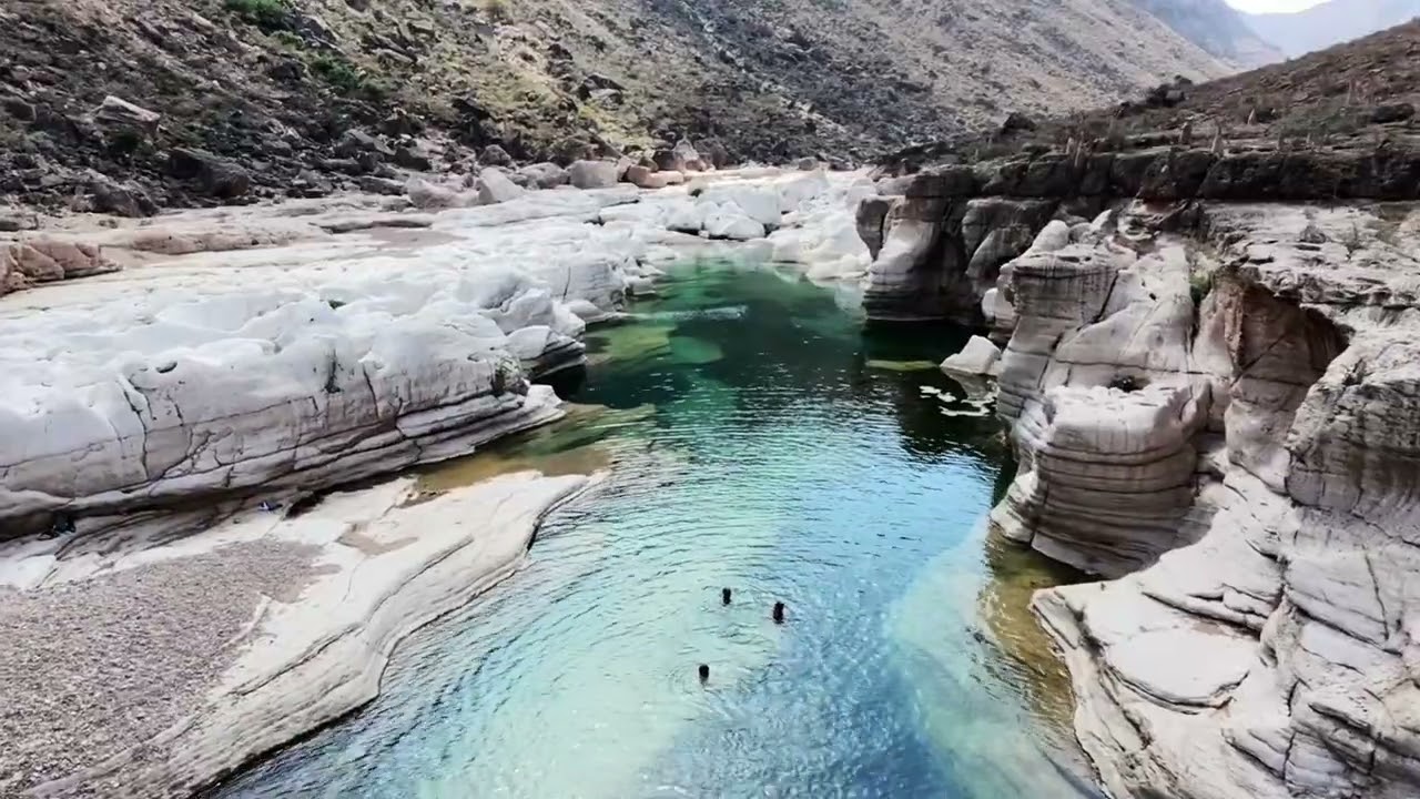 Socotra. Yemen. Abu Dhabi- Socotra 2025.