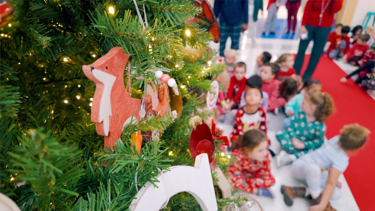 Fox and Fir Storytime at Ten Oaks Elementary | HCS #RiseWithReading
