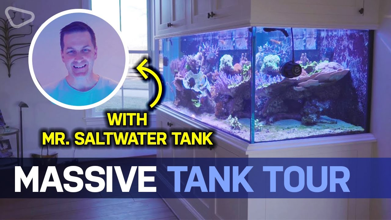 Amazing Reef Aquariums: Mike's Tank