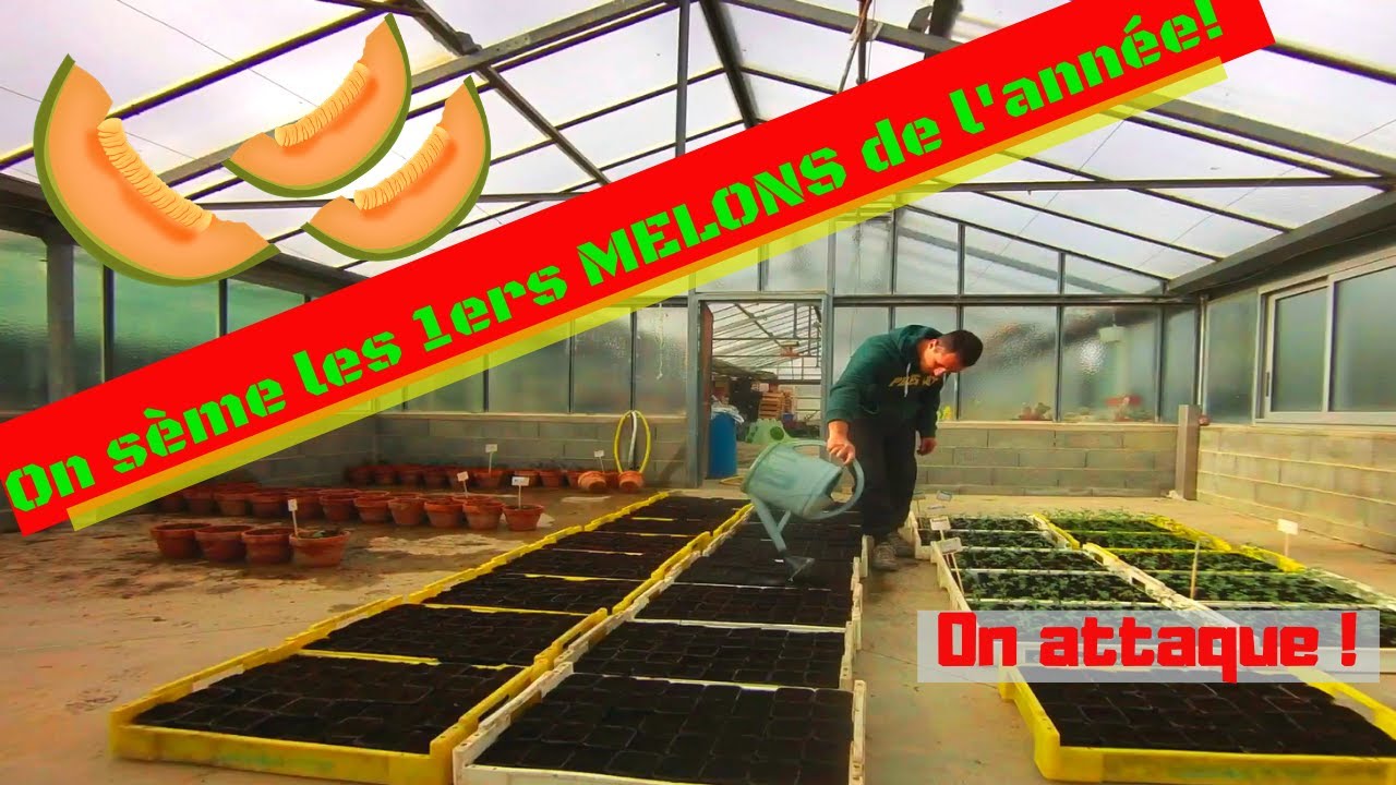 ON LANCE LES 1ERS SEMIS DE MELONS CHARENTAIS DE L'ANNEE, ON VOUS MONTRE COMMENT