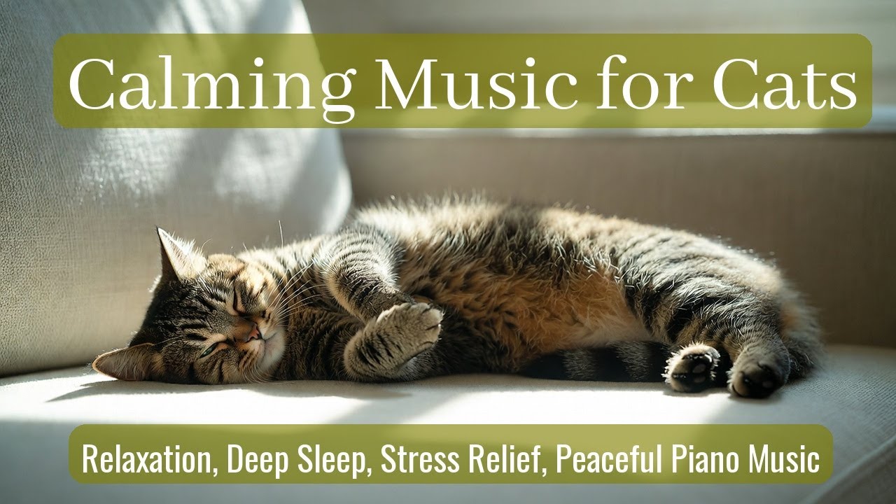 Calming Music for Cats - Relaxation, Deep Sleep, Stress Relief, Peaceful Piano Music | Season 74