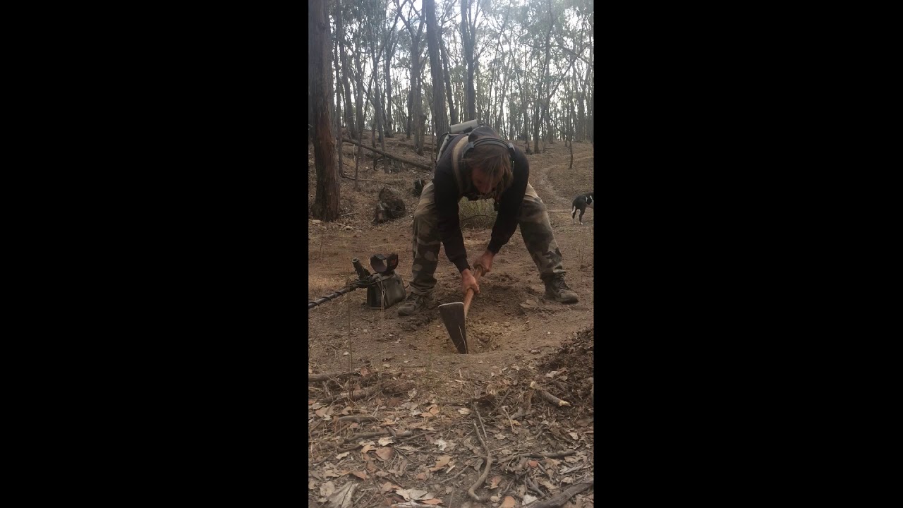 Gold Prospecting - Golden Layers of Nuggets and Species (Episode 54)