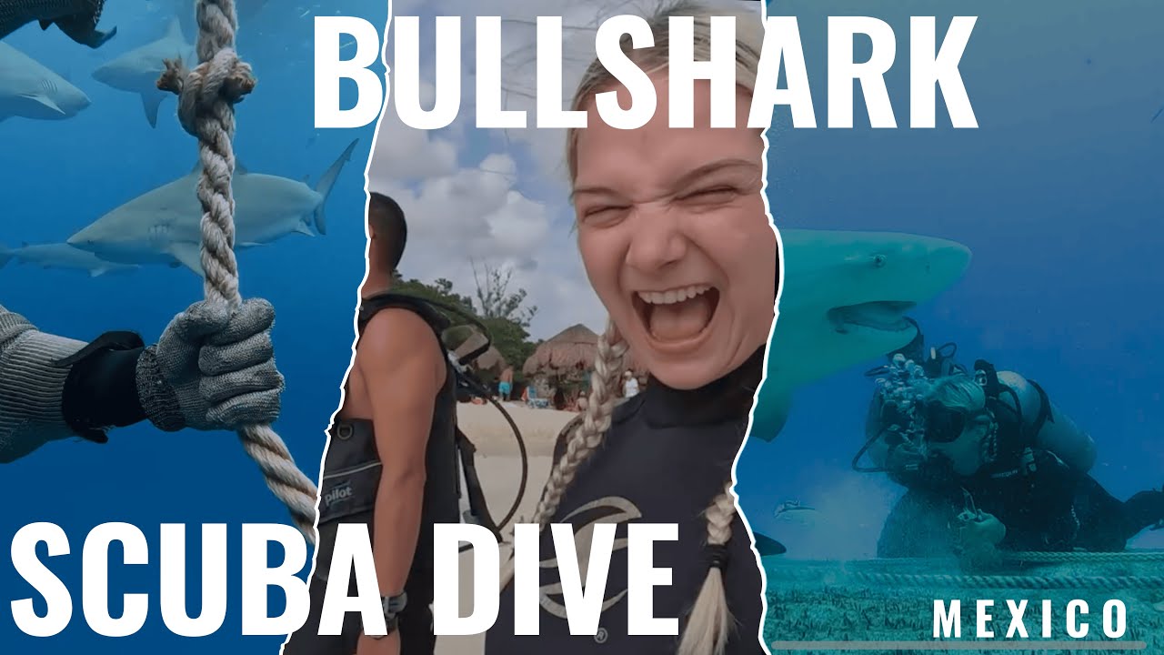 SCUBA DIVING WITH BULL SHARKS - PLAYA DEL CARMEN MEXICO