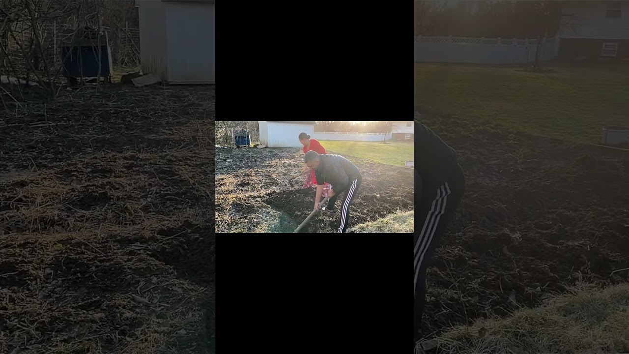 Preparing the garden for spring planting