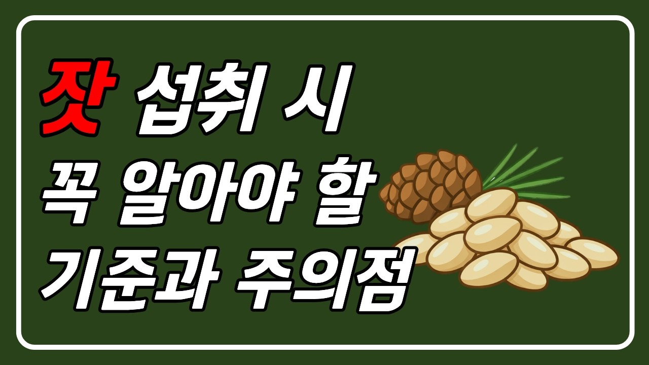 잣 섭취 시, 꼭 알아야 할 기준과 주의점👈
