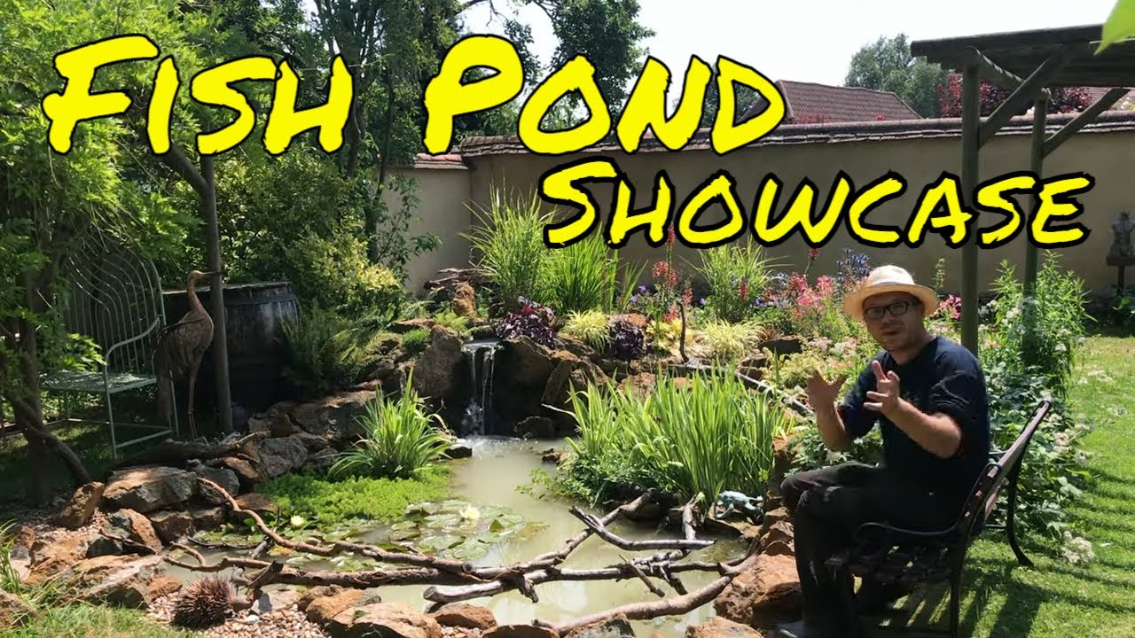 UK Fish Pond with Wildlife (You can have everything)