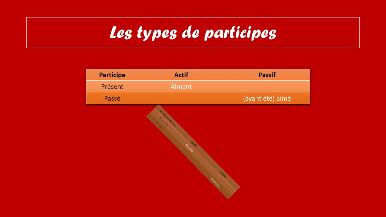 Le participe en latin