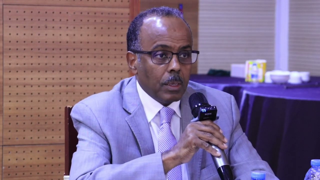 Wasiir Cali Balcad “DFS waxay Golaha Qaramada Midoobay kaga guuleystay dhinaca diplomaasiyadda,