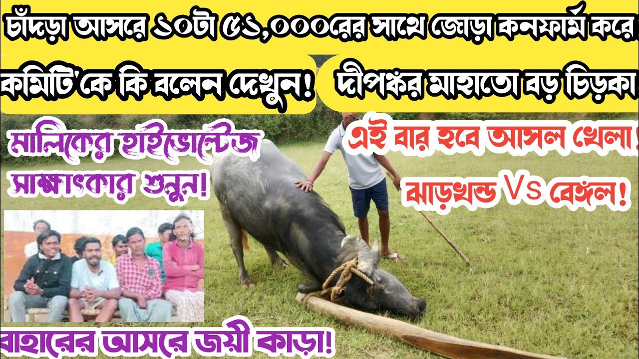 চাঁদড়া আসরে ১০টা ৫১নর সাথে জোড়া কনফার্ম করে! ঝাড়খন্ডে কাড়া মালিক মুখ খুললেন দেখুন তাড়াতাড়ি!
