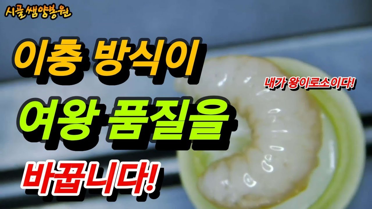 전문 양봉 기준에서 본 자동이충기의 진짜 가치