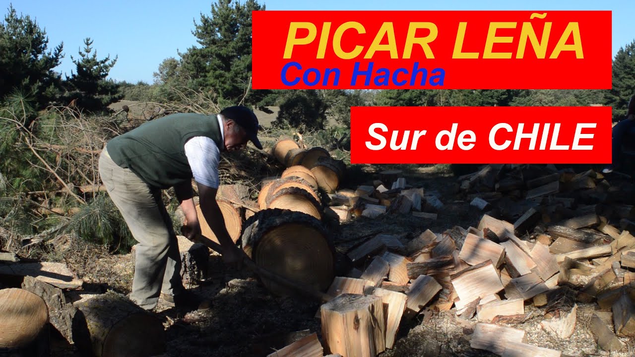 Cortar leña con HACHA/ Cocinas de LEÑA/ Araucanía Barros Arana