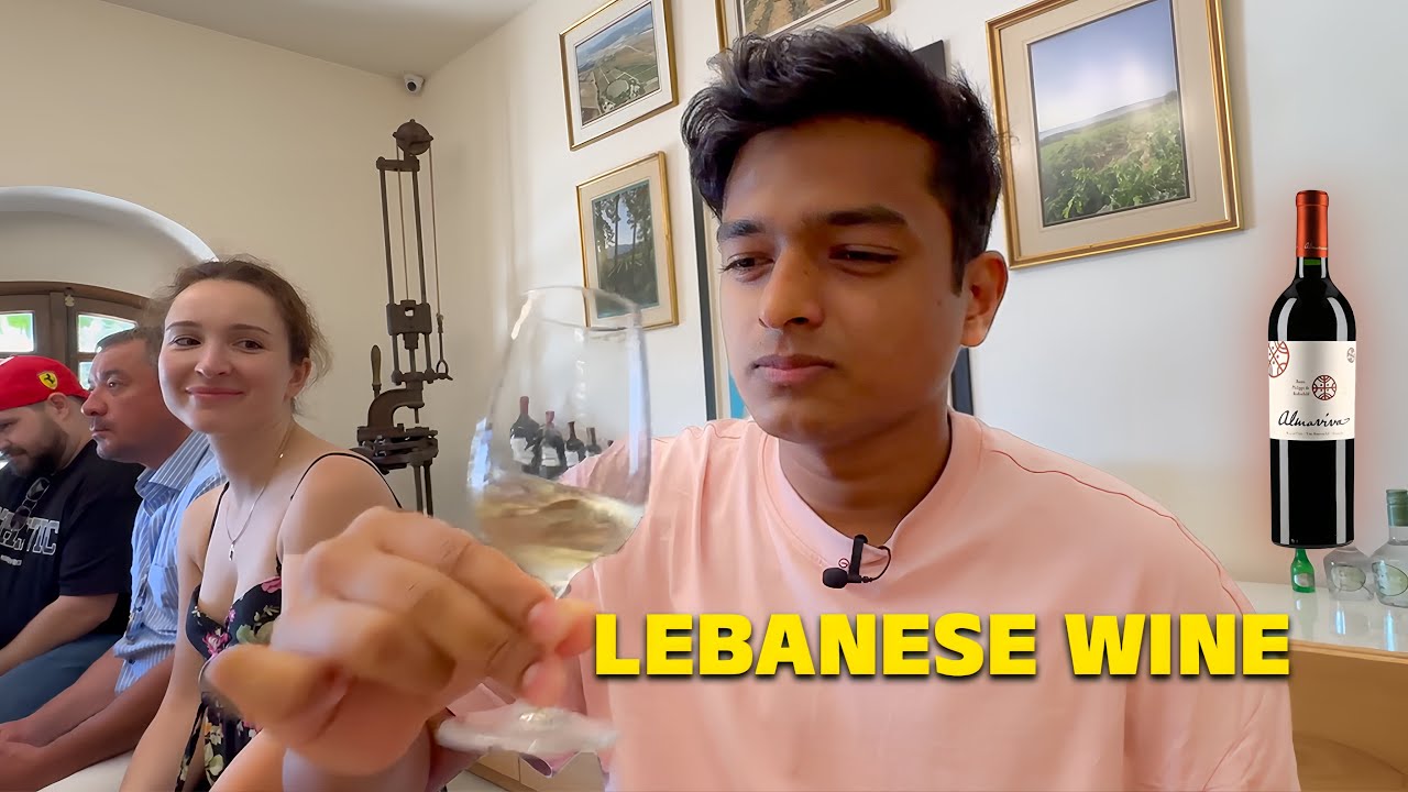 Lebanese wine 🍷| Dr Bro | Dr Bro Kannada #drbroshorts|