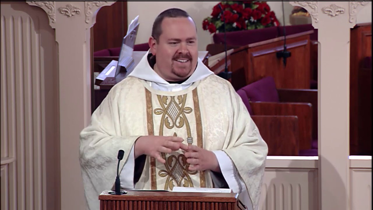 Daily Readings and Homily - 2020-11-04 - Fr. Matthew